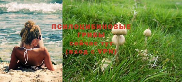 соль курить ск Шимановск