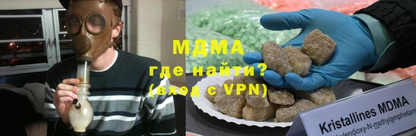 прущие грибы Дубна