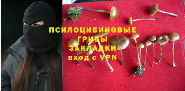 хмурый Протвино