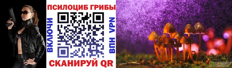 наркота Балтийск Псилоцибиновые грибы Psilocybine cubensis