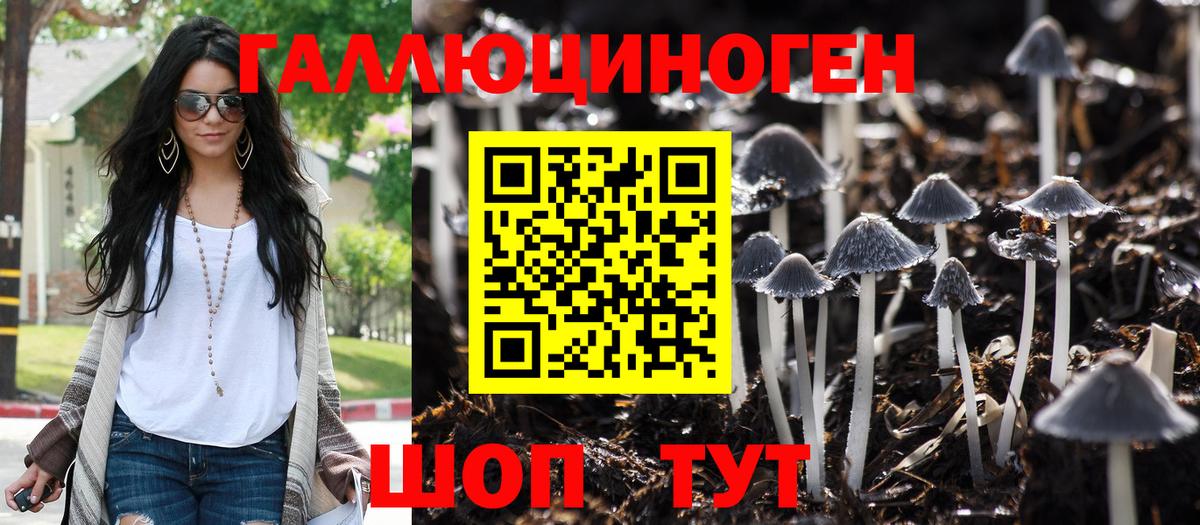 Конопля Балтийск
