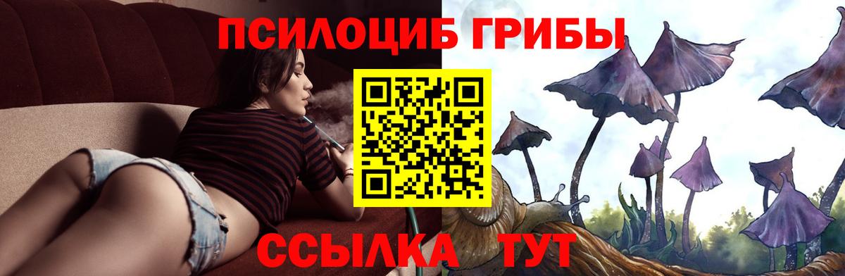 Псилоцибиновые грибы Magic Shrooms Балтийск