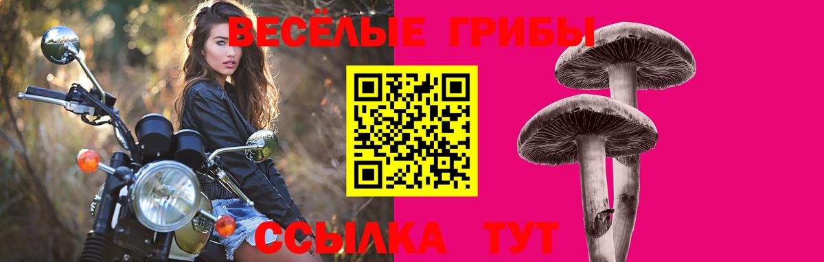 Балтийск  Галлюциногенные грибы MAGIC MUSHROOMS  Вход с VPN 
